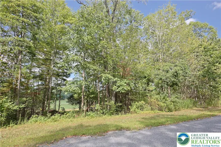 Partially Wooded for Privacy