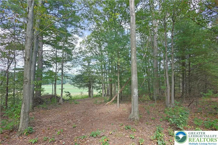 Path to the field