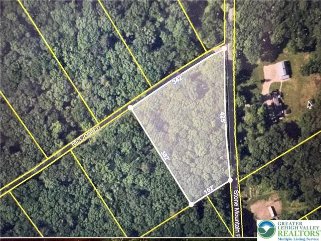 1 .53 Acre Lot ~ Wooded ~ Lehighton Schools