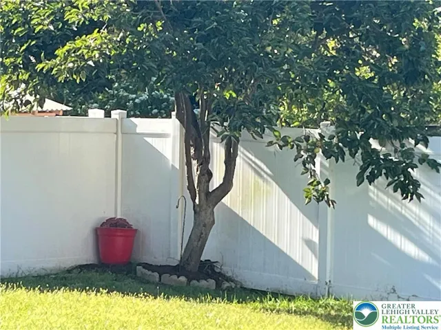 Persimmon Fruit Tree and low maintenance fence