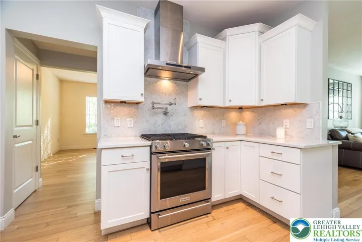 Propane gas range , exhaust hood and pot filler