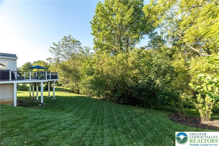 Tree lined yard