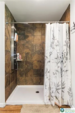 Lower level bathroom