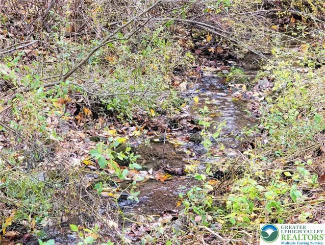 Creek in front of the home
