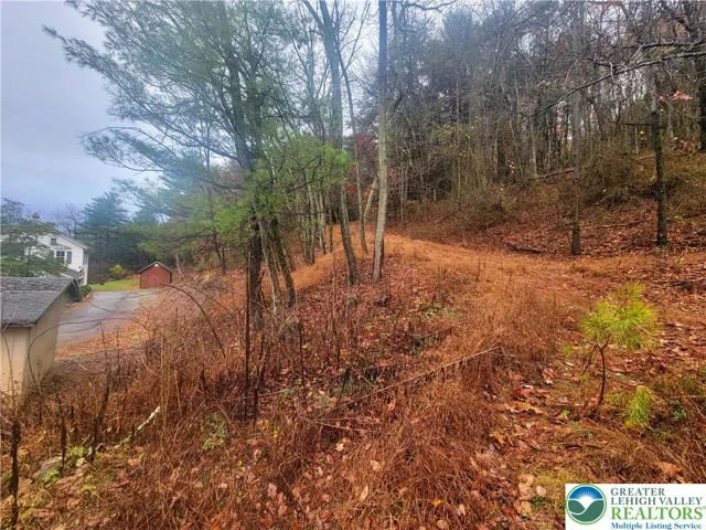 ATV/walking road to upper part of lot turns left heading up the mountain