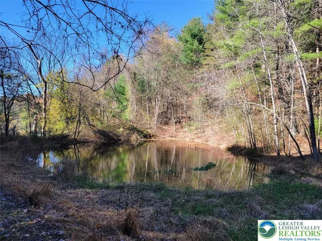 Pond to the left of the home