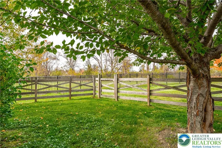 Fruit trees to enjoy!