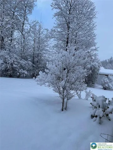 Owner's Seasonal Photo