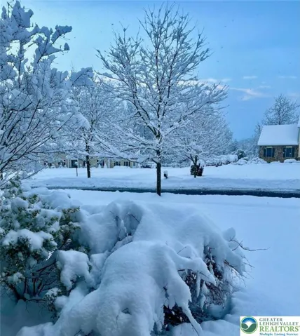 Owner's Seasonal Photo