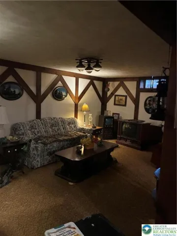 Family Room in Finished basement