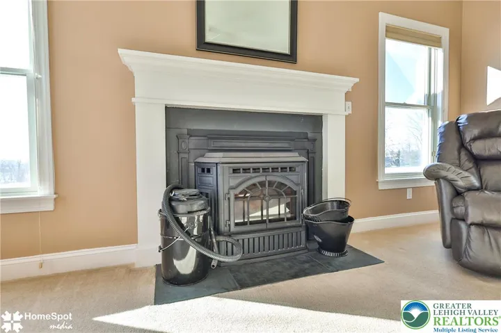  Main - Fireplace Insert in Living Room