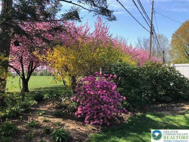 Spring is coming!