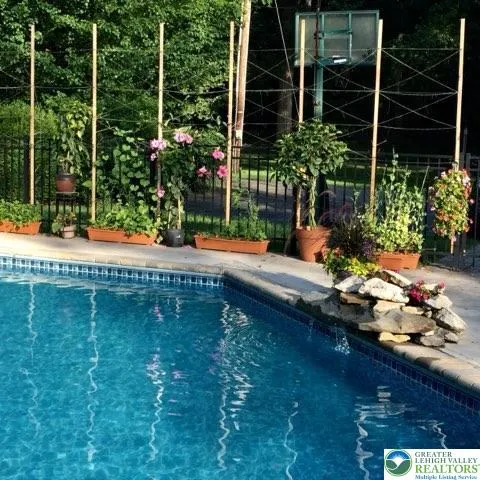 Pool in summer