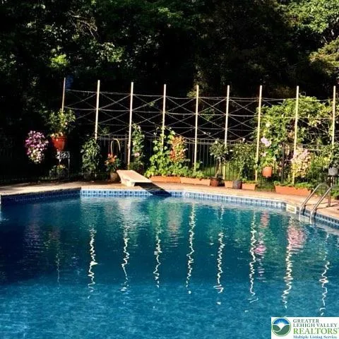 Pool in summer