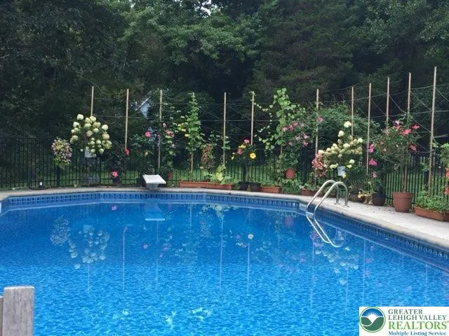 Pool in summer