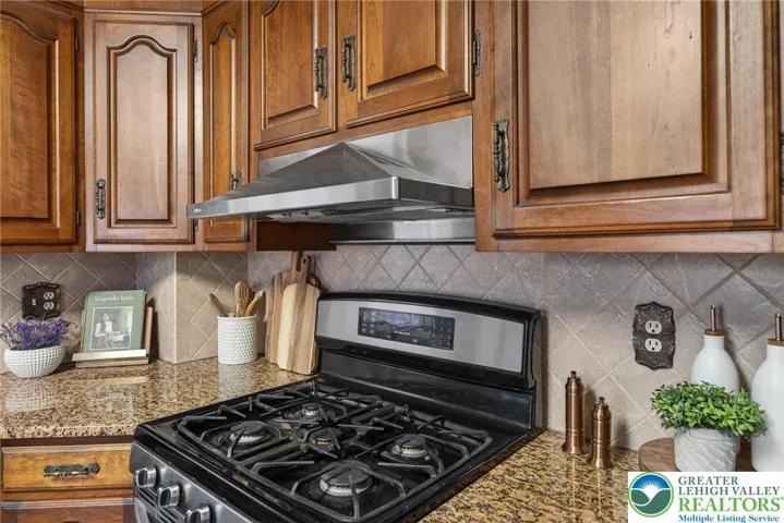 Gas stove