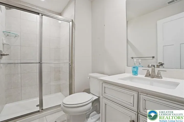 Lower Level Full Bathroom