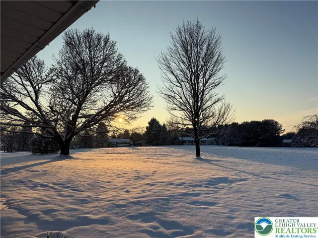 View from back porch