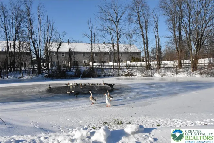 Tranquil Pond in front of home