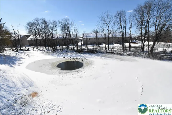Pond in front of home