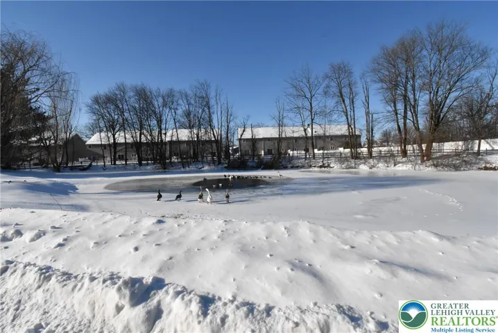 Pond in front of home