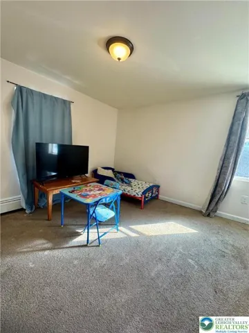 Lower level ( Family room/ Bonus room)