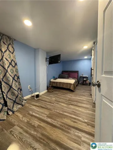 Lower level ( Family room/ Bonus room)