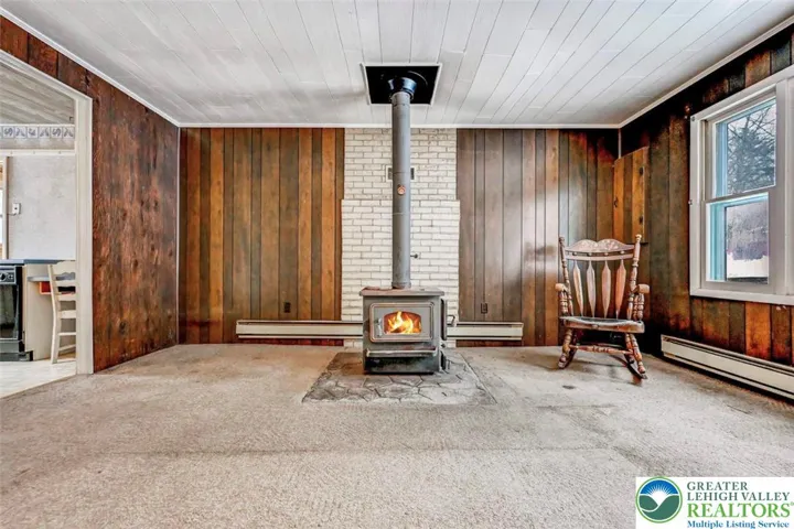 Free Standing Woodburning Stove