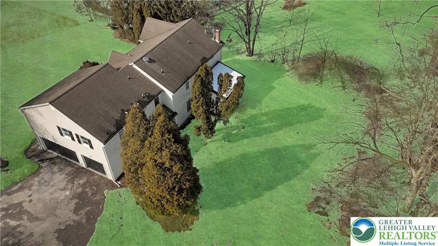 Grass is an AI enhanced image