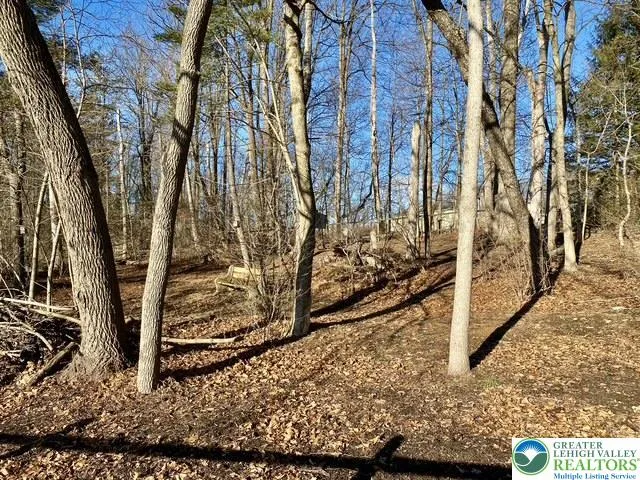 Wooded section at the back