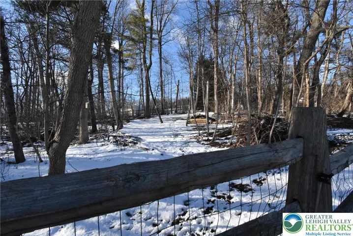 Fenced-in Back yard with trees