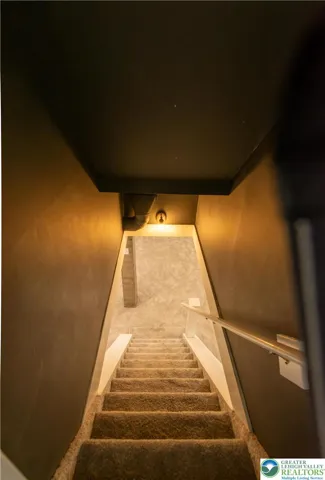 Basement steps