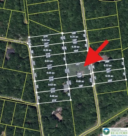 Arrow shows Log Cabin Location.  All highlighted lots are included in this sale.