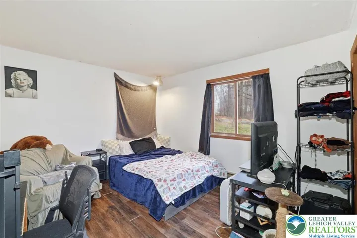 Lower Level Fourth Bedroom