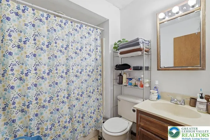 Lower Level Bathroom
