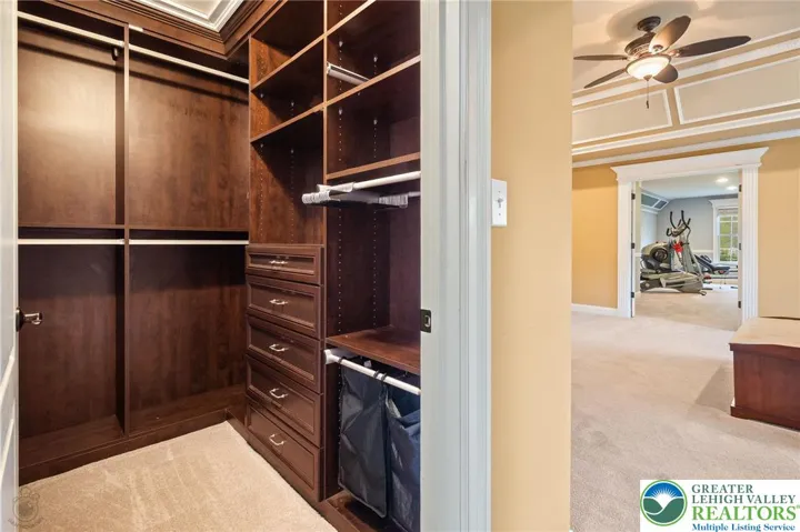 Primary Closet #1