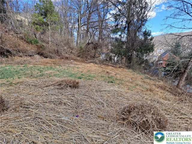 Potential side yard