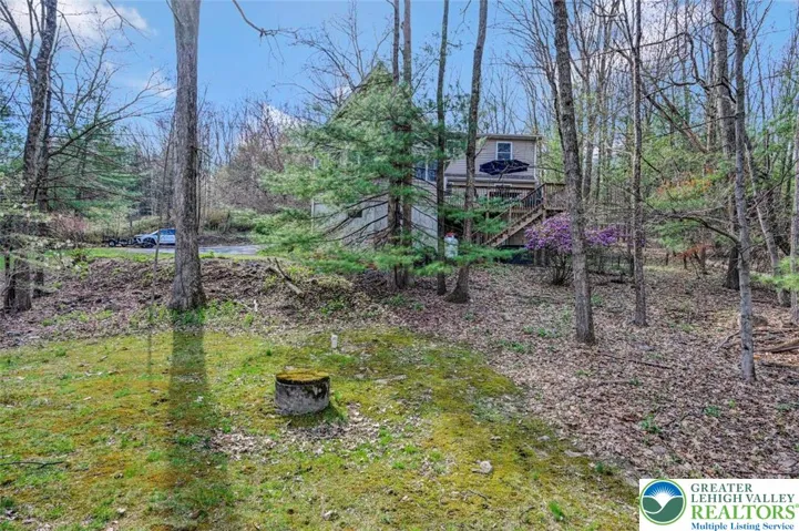 Tree-Lined Backyard
