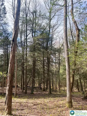 Beautiful wooded acreage spanning 35.87 private acres.