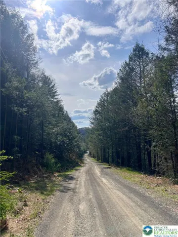 Enjoy quiet surroundings along the road leading from the property.