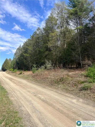 View of Lakewood Drive with the lot positioned to the right.