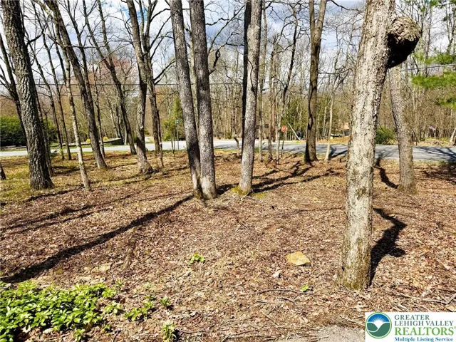 Beautifully maintained wooded lot