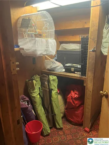 Basement Closet