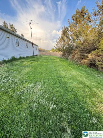 Back yard