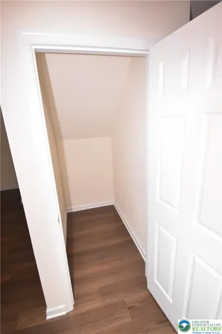 Basement storage closet