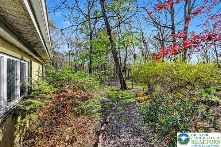 Partially fenced side yard with mature trees and stone walkway.
