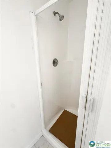 Lower level In-law suite bathroom