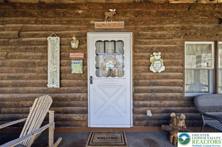 Propane Heater & Wood Stove