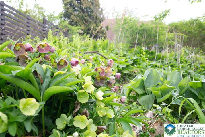 Also the real deal foliage.