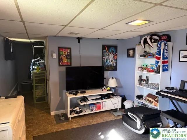 Lower Level Bedroom